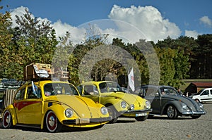 Classic Volkswagen Beetle car